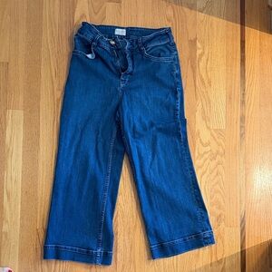 Pilcro Dark Blue Flare Jeans
